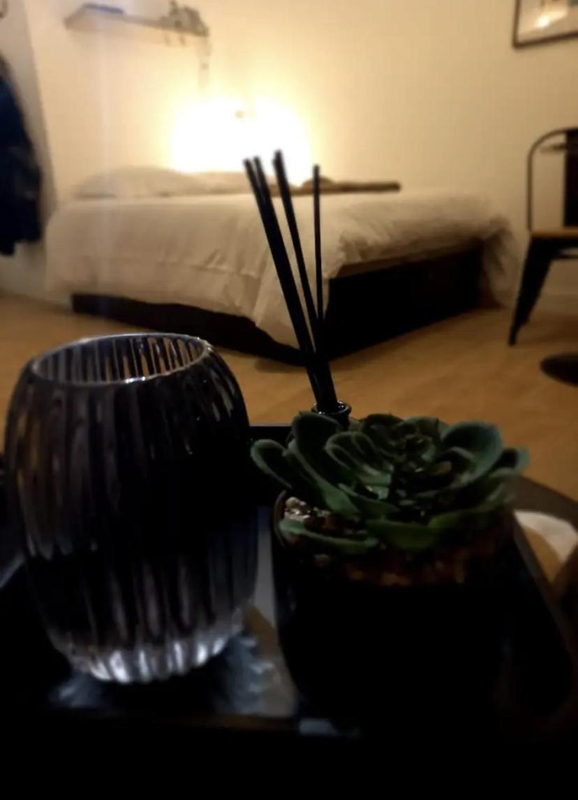 Apartmán Le 29 Cuty, Wifi, A 3Min De La Gare Sncf Agen Exteriér fotografie