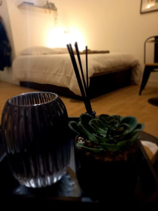 Apartmán Le 29 Cuty, Wifi, A 3Min De La Gare Sncf Agen Exteriér fotografie